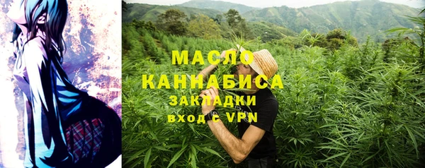 дживик Краснослободск
