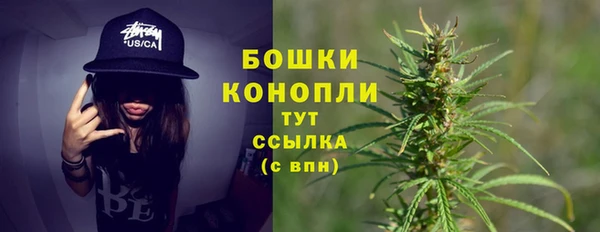 МДПВ Гусиноозёрск