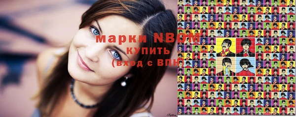 дживик Краснослободск