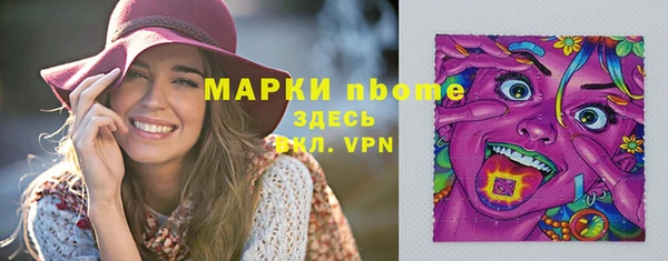дживик Краснослободск
