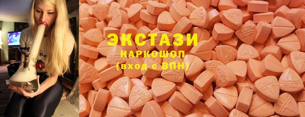 дживик Краснослободск