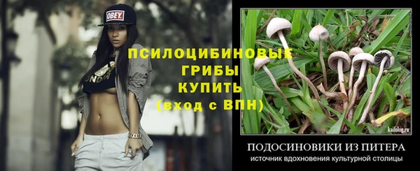 дживик Краснослободск