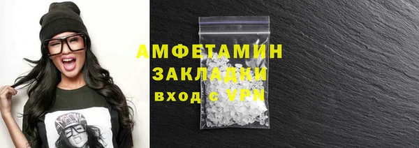 дживик Краснослободск