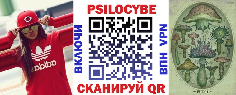blacksprut ссылки  Завитинск  Псилоцибиновые грибы мухоморы 