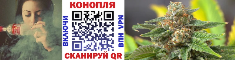 где найти   Завитинск  Канабис Ganja 