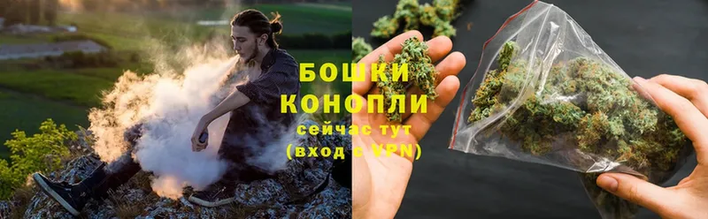 купить закладку  Завитинск  Каннабис SATIVA & INDICA 